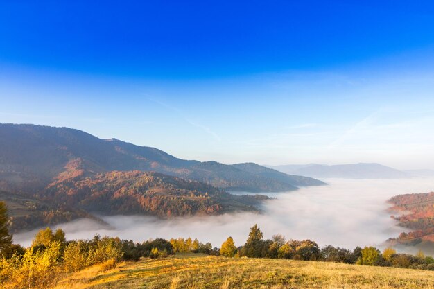 Beau paysage avec des collines et des montagnes