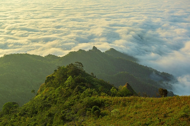 Beau paysage de couche de montagne dans les rayons du soleil du matin et le brouillard d'hiver à Doi Hua Mae Kham