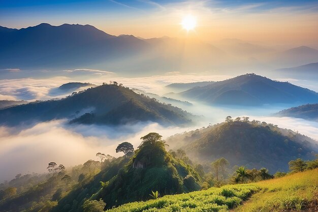 Beau paysage de couche de montagne dans le soleil du matin et le brouillard d'hiver à Doi Hua Mae Kham Mae Salong Nai Chiangrai Thaïlande