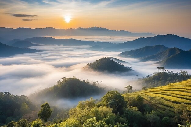 Beau paysage de couche de montagne dans le soleil du matin et le brouillard d'hiver à Doi Hua Mae Kham Mae Salong Nai Chiangrai Thaïlande