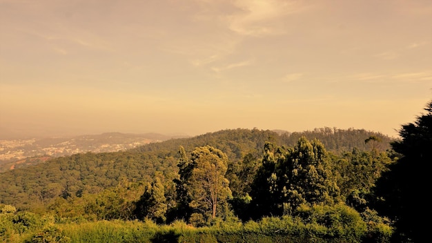 Beau paysage de coucher de soleil à Ooty par temps nuageux et brumeux pendant l'heure d'or Destination idéale pour passer le week-end en lune de miel en famille et à la retraite