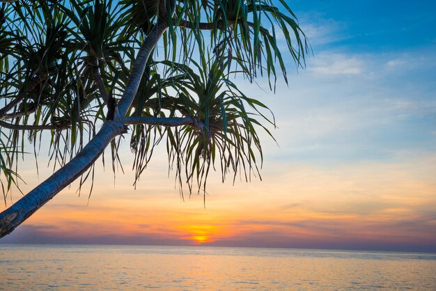 Beau paysage avec coucher de soleil sur une plage tropicale avec palmiers