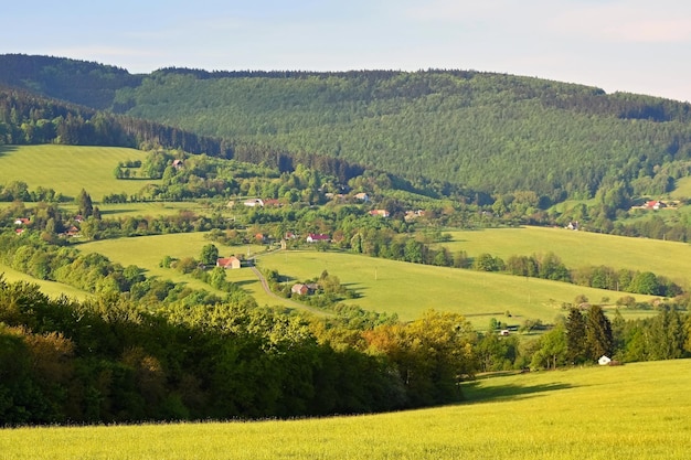 Photo beau paysage dans les montagnes en été république tchèque les carpates blanches europe