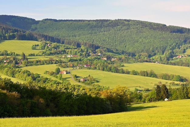 Beau paysage dans les montagnes en été République tchèque les Carpates blanches EuropexDxAPaysage naturel de forêts prairies et montagnes