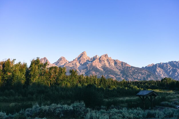 Beau Paysage Dans Le Parc National De Grand Teton Wyoming United States