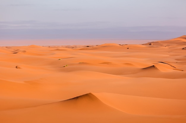 Un beau paysage désertique en arrière-plan