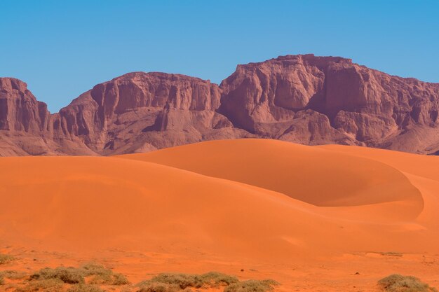 Un beau paysage désertique en arrière-plan