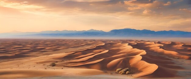 Le beau paysage du désert