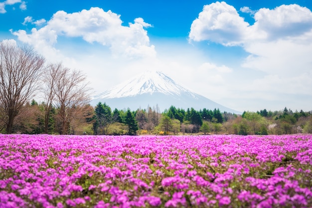 Beau paysage du majestueux Mont Fuji