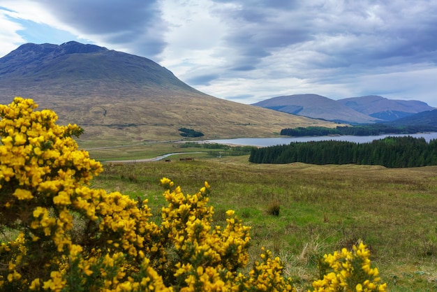 Beau paysage du point de vue de Glencoe, Ecosse