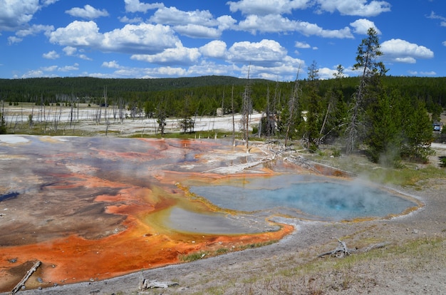 Photo beau paysage du pot de peinture de fontaine à yellowstone, wyoming