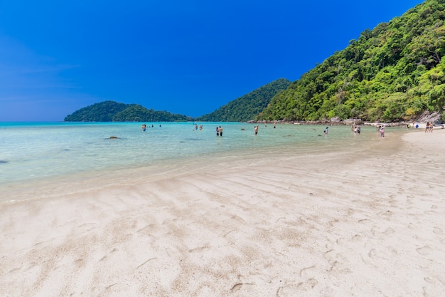 Photo beau paysage et eau claire à l'île similan, mer d'andaman, phuket, thaïlande