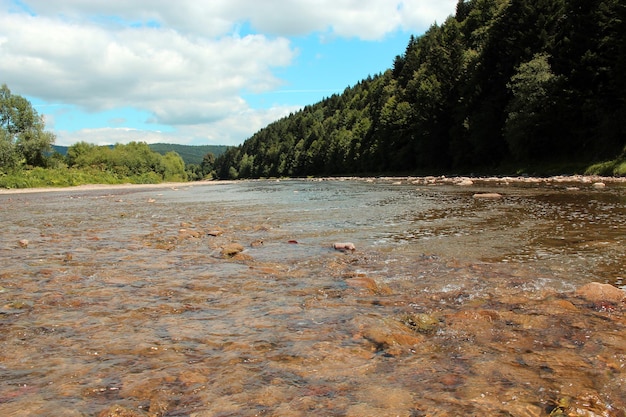 Beau paysage avec de l'eau rapide dans une rivière montagneuse