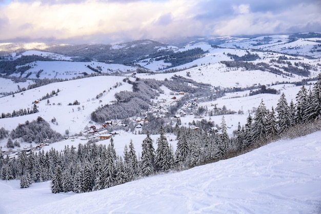 Beau paysage enneigé dans les montagnes le jour d'hiver