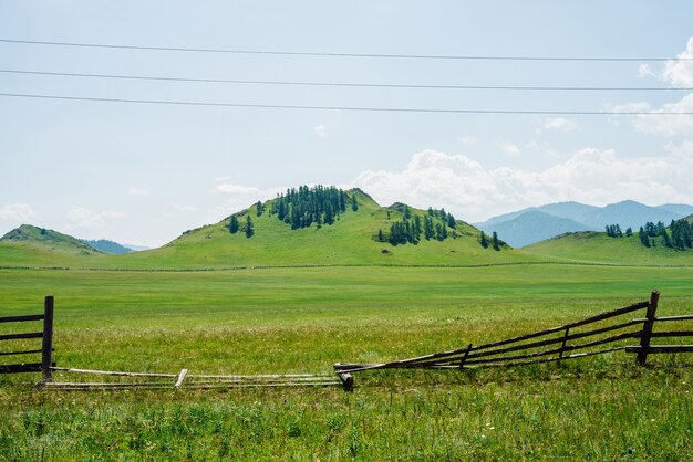 Beau paysage ensoleillé avec forêt verte et vaste champ derrière une vieille clôture en bois cassée.