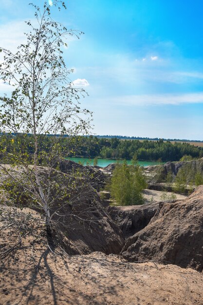 Beau paysage d'été avec des arbres du lac Ciel bleu et nuages duveteux Concept Nature