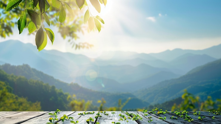 Photo beau paysage d'été avec des arbres verts dans un parc