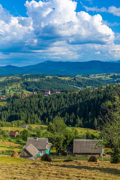 Beau paysage d'été du village parmi les montagnes de Karpaty.