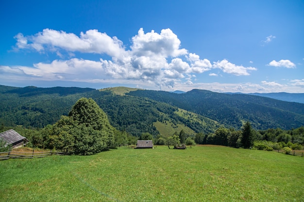 Beau paysage d'été du village parmi les montagnes de Karpaty.