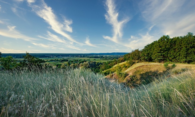 Beau paysage d'été impressionnant de prairies vertes vides et de forêt