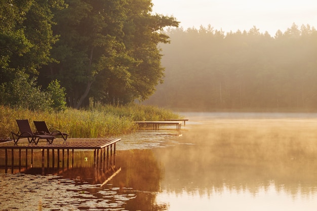 Photo beau paysage d'été avec lac et forêt au lever du soleil