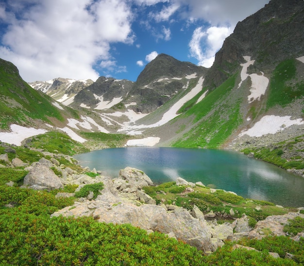 Beau paysage d'été de la montagne du Caucase