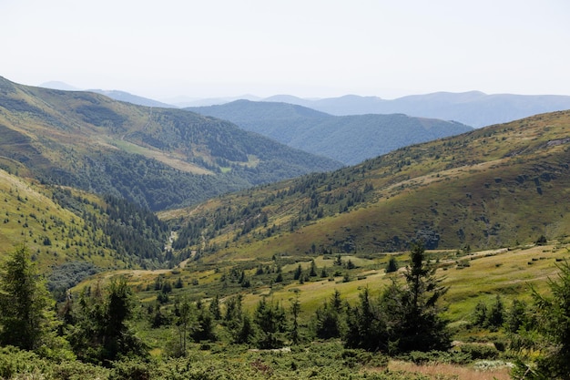 Photo beau paysage d'été. montagnes des carpates, forêts et lacs.