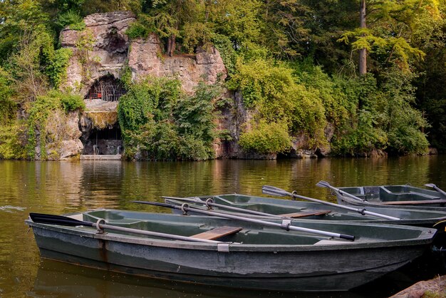 beau paysage d'été près de l'eau