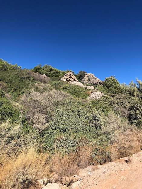 Beau paysage d'été de rhodes grèce