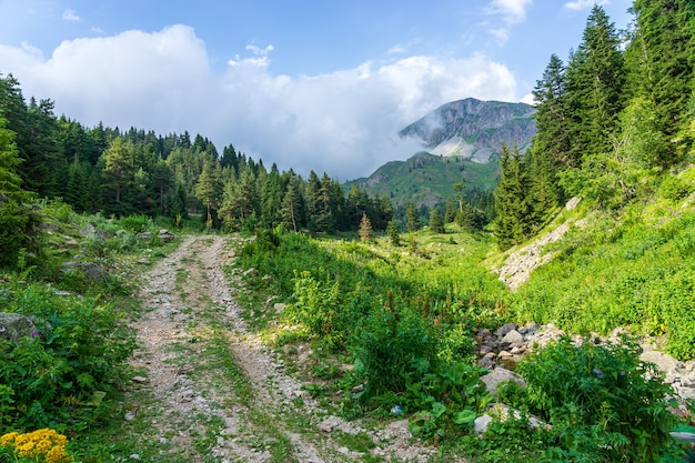 Beau paysage d'été à Savsat, province d'Artvin, Turquie