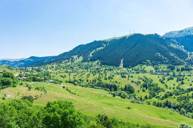 Beau paysage d'été à Savsat, province d'Artvin, Turquie