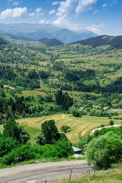 Photo beau paysage d'été à savsat, province d'artvin, turquie