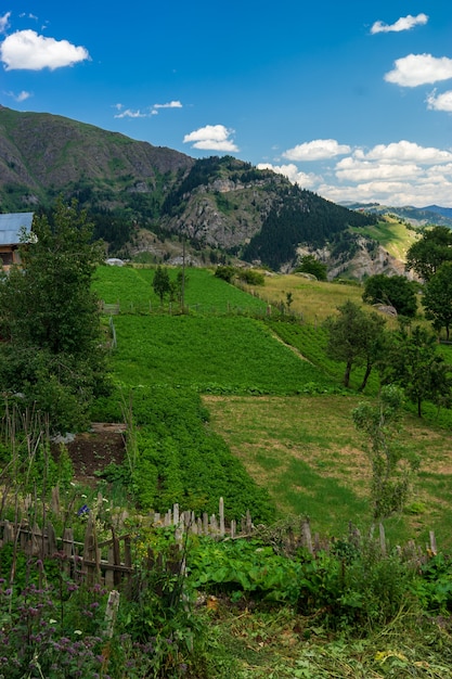 Beau paysage d'été à Savsat, province d'Artvin, Turquie