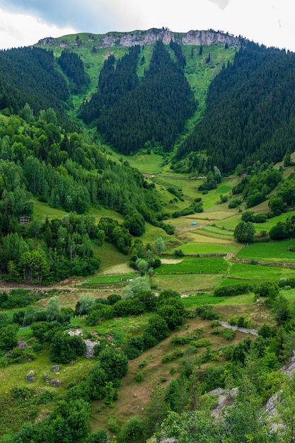 Beau paysage d'été à Savsat, province d'Artvin, Turquie