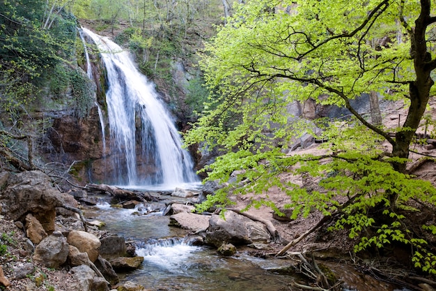 Beau paysage fascinant de pas une grande cascade et rivière dans les montagnes du printemps ensoleillé. Concept de pure nature écologique