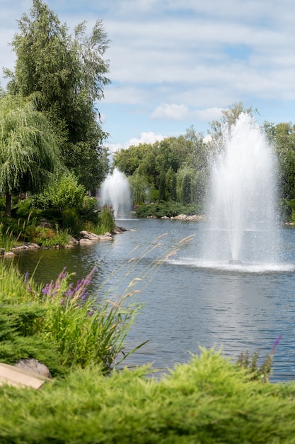 Beau paysage de fontaines dans l'étang au jardin formel