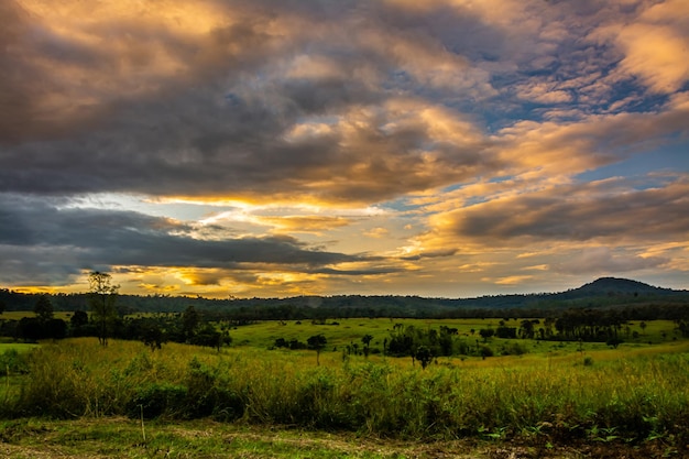 Beau paysage forestier dans le parc national de Thung Salaeng Luang dans la province de Phitsanulok en Thaïlande. / Savane dans le parc national de Thaïlande nommé Thung Salaeng Luan