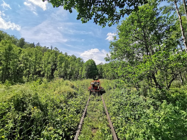 Beau paysage de forêt d'été de rails et de chariots