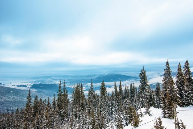 Beau paysage de forêt de montagne par une journée chaude et ensoleillée sur fond de montagnes d'arbres et de soleil. Le concept de voyage en montagne et de loisirs de plein air