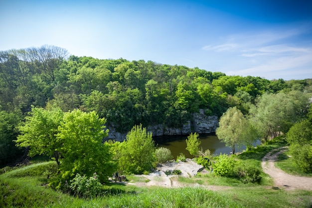 Beau paysage de forêt, de rivière et de ciel bleu profond