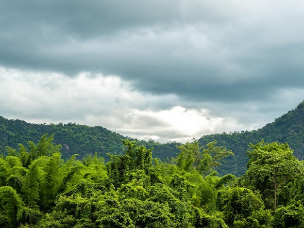 Beau paysage de forêt verte et vue sur la montagne et la forêt tropicale avec des nuages après avoir plu le matin Nature verte terre et écologie