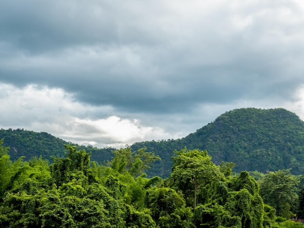 Beau paysage de forêt verte et vue sur la montagne et la forêt tropicale avec des nuages après avoir plu le matin Nature verte terre et écologie