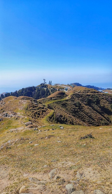 Beau paysage grand angle avec montagnes et arbres