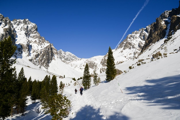 Beau paysage avec de grandes montagnes rocheuses dans la petite vallée froide en randonnée dans les Hautes Tatras, en Slovaquie.