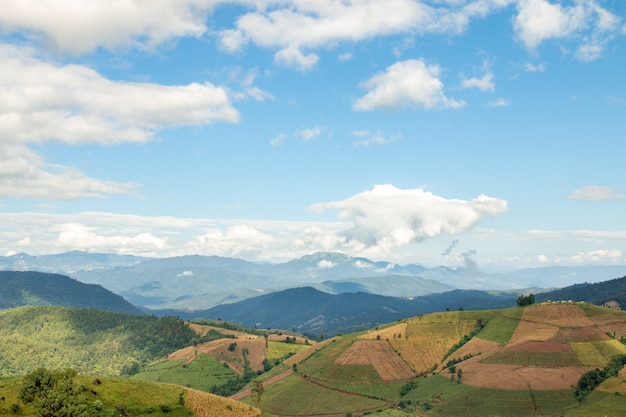 Beau paysage sur les hautes montagnes, les vallées de riz et les parcelles agricoles