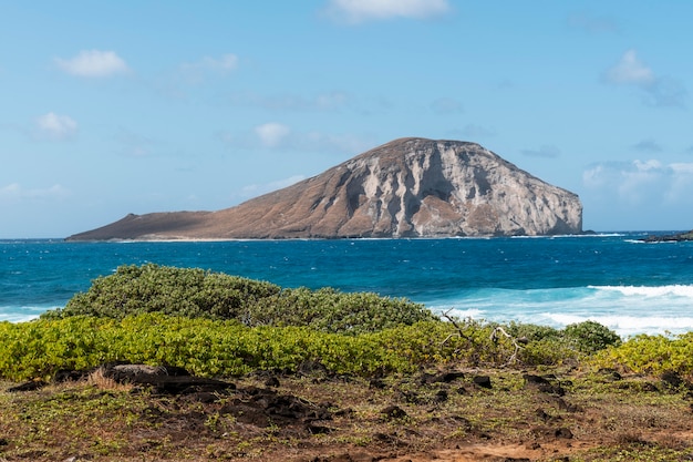 Photo beau paysage hawaï avec la mer bleue