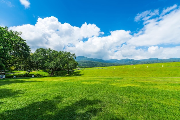 Beau paysage herbe verte avec dans la nature forêt vue sur la montagne printemps avec atmosphère aérienne fond de ciel bleu clair abstrait texture de fond clair avec des nuages blancs