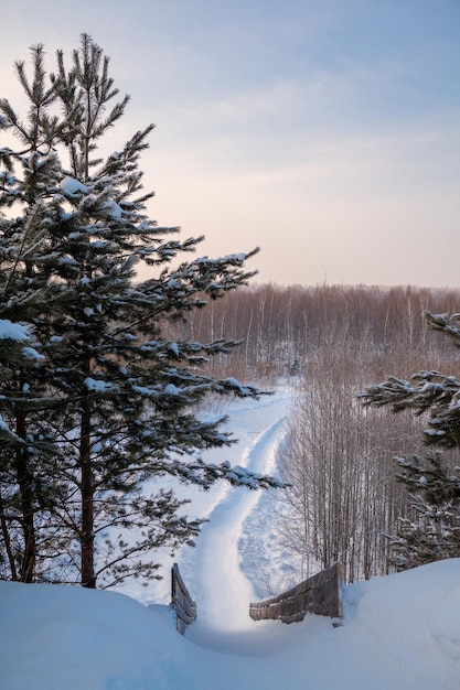 Beau paysage d'hiver au lever ou au coucher du soleil. Toboggan à neige pour skier parmi les sapins enneigés.