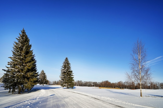 Beau paysage d'hiver aux beaux jours