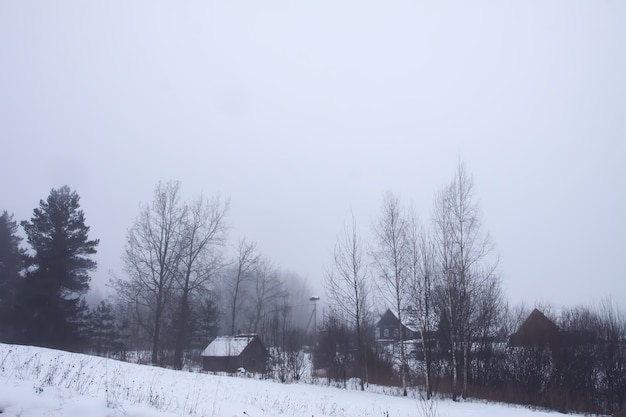 Beau paysage d'hiver avec des bâtiments de maisons rurales et des arbres dans la neige.